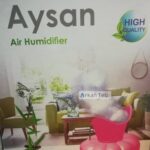 Aysan