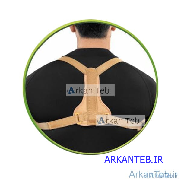 قوزبند ترقوه بند کد 4041 (سما طب پاکان)