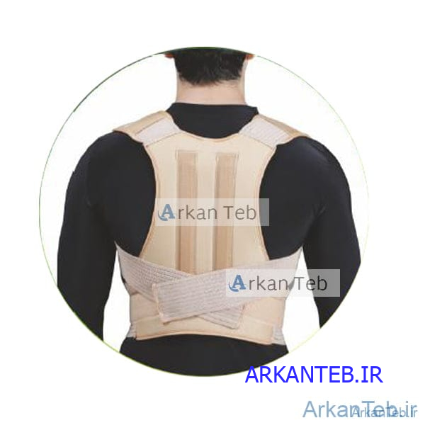 قوزبند پل دار کد 4036(سما طب پاکان )ارکان طب