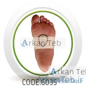 پد متاتارسال کد6035 (سما طب پاکان ) ارکان طب
