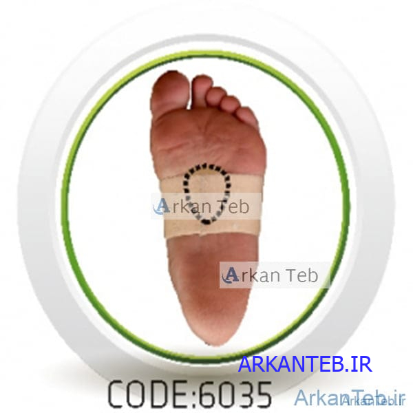 پد متاتارسال کد6035 (سما طب پاکان ) ارکان طب