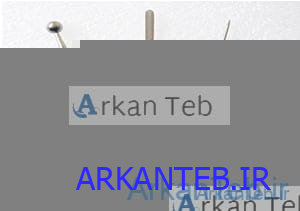 سر قلم کوتری بلند (ارسال از تهران)
