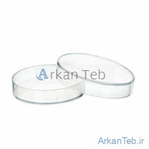 پلیت 10 سانتی کارتن 384 عددی