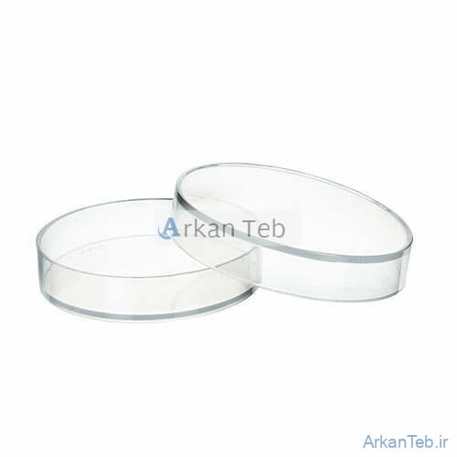 پلیت 10 سانتی کارتن 384 عددی