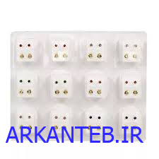 گوشواره طبی چینی ارکان طب
